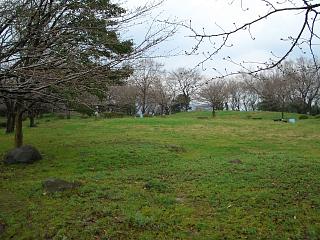 CIMG2500.jpg